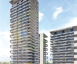 אפרים צור 17_3